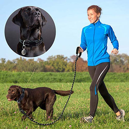 Ladoogo Reflective Dog Collar Padded with Soft Neoprene Breathable Adjustable Nylon Dog Collars for Small Medium Large Dogs (Small (Pack of 1), Black Collar+Leash) - color: Black Collar+Leash, size: Small (Pack of 1)