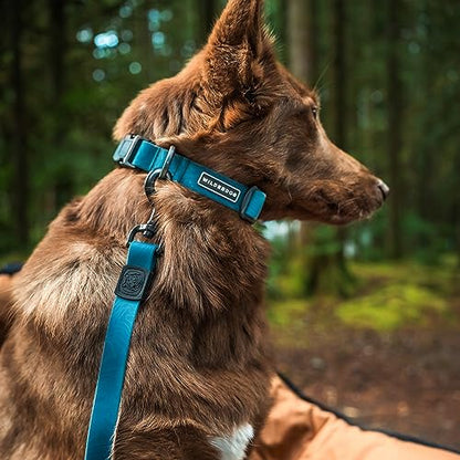 Wilderdog Waterproof Dog Collar - Repels Water & Dirt - Medium 13"-18" - Pacific Blue - color: Pacific Blue, size: Medium