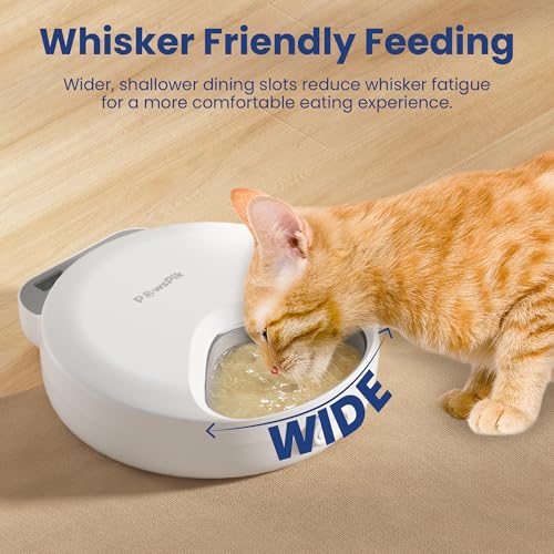 PawsPik Smart 4-Meal Automatic Pet Feeder – Programmable Timer for Wet & Dry Food, Cordless, with Ice Packs – Dog & Cat Feeder, White, 4-Cup Capacity