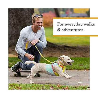 Ruffwear, Hi & Light, Everyday Lightweight Dog Harness, Trail Running, Walking, Hiking, All-Day Wear, Basalt Gray, XXX-Small - color: Basalt Gray, size: XXX-Small