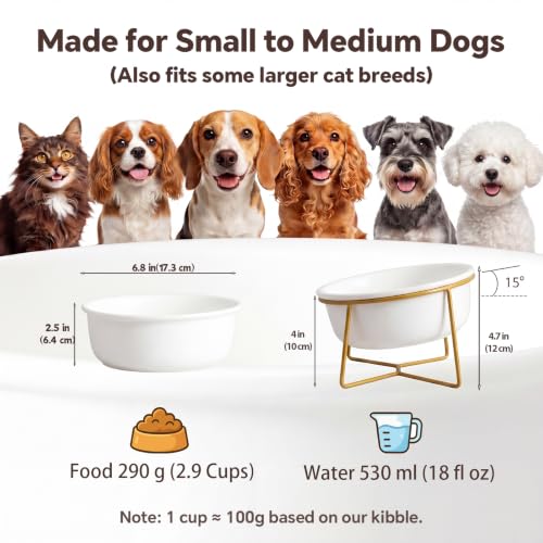 White Large Ceramic Tilted Elevated Cat Dog Bowl Raised Cat Food Water Bowl Dish Pet Comfort Feeding Bowls with Gold Iron Stand - color: White, size: Large