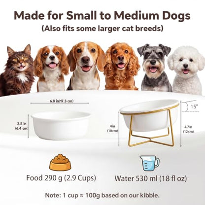 White Large Ceramic Tilted Elevated Cat Dog Bowl Raised Cat Food Water Bowl Dish Pet Comfort Feeding Bowls with Gold Iron Stand - color: White, size: Large