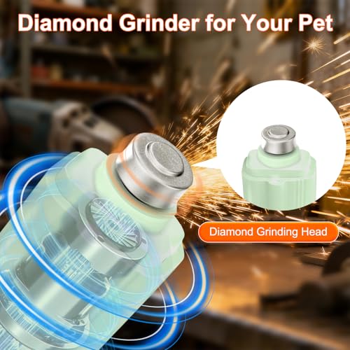 2-in-1 Dog Nail Clippers & Dog Nail Grinder with 2 LED Lights, Ultra-Quiet, Multiple Grinding Methods, USB Rechargeable and Splash Guard for Small, Medium, and Large Dogs & Cats (Green) - color: Green
