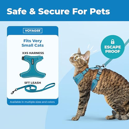 Voyager Escape-Proof Step-in Lock Cat Harness & 5ft Neoprene-Handle Leash Set All-Weather Mesh with Reflective Stitching for Small to Large Cats by Best Pet Supplies, Turquoise (327), XXS - color: Turquoise (327), size: XXS (Chest: 11.5 - 14")