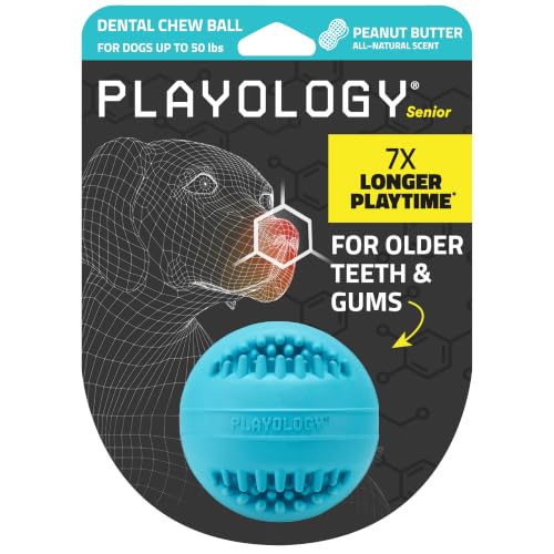 Playology Dog Toys | Dental Chew Ball for Senior Dogs | Peanut Butter Scented Medium Toy | Dog Balls for Healthy Teeth and Gums - size: Medium Chew Ball, style: Peanut Butter