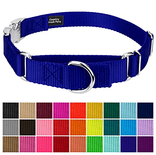 Country Brook Petz - Martingale Dog Collar - Heavy Duty Nylon Adjustable Martingale Dog Collar with Premium Buckle for Small Medium Large Breeds (5/8 Inch, Extra Small, Bright Royal Blue) - color: Bright Royal Blue, size: Extra Small (Pack of 1)