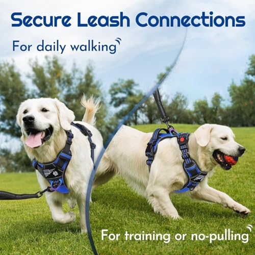 Eagloo Dog Harness Small Sized, Easy Wearing with 3 Buckles, Adjustable No Pull Pet Harness with 2 Rings for Walking, No Chock Reflective Soft Padded Vest with Control Handle, Blue & Black, S - color: Blue & Black, size: Small