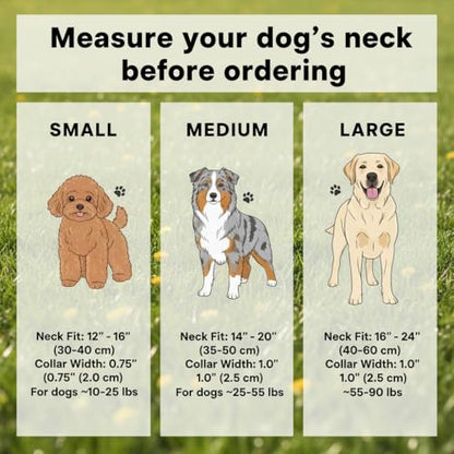 Dog Leash and Collar Set – 6 FT Strong Rope Leash with Padded Handle & Adjustable Nylon Collar Reflective for Small Medium Large Dogs (Pink, L) - color: Pink, size: L