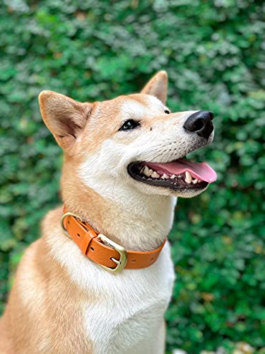 Tuff Pupper Classic Heavy Duty Dog Collar | 10x Stronger Than Leather | 100% Waterproof & Odor Proof Dog Collar | Tough Rust-Proof All Metal Hardware - color: Burnt Orange
