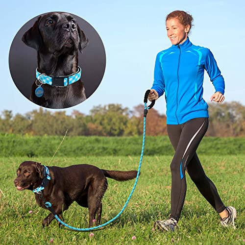 Ladoogo Reflective Dog Collar Padded with Soft Neoprene Breathable Adjustable Nylon Dog Collars for Small Medium Large Dogs (X-Small (Pack of 1), Vivid Blue Plaid Collar+Leash) - color: Vivid Blue Plaid Collar+Leash, size: X-Small (Pack of 1)