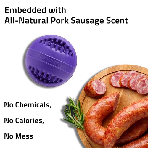 Playology Dog Toys | Dental Chew Ball for Large Senior Dogs | Pork Sausage Scented Jumbo Toy | Dog Balls for Healthy Teeth and Gums - size: Jumbo Chew Ball, style: Pork Sausage