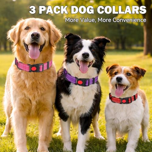 3 PCS Dog Collars for Medium Dogs,Reflective Dog Collar Adjustable Soft Nylon with Safety Locking Buckle Girl Dog Collars,Hotpink+Purple+Red,M - color: Hotpink+Purple+Red, size: M:14-20",width 1"