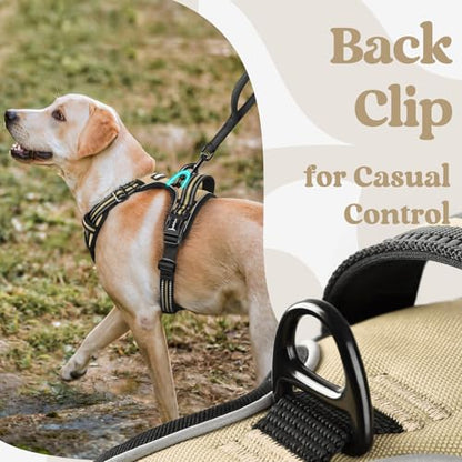 rabbitgoo Dog Harness Small Sized, No Pull Easy On & Off with 3 Buckles Pet Harness, Adjustable Soft Walking Vest with 2 Clips and Handle, Reflective for Small Dogs, Beige, S - color: Beige, size: Small