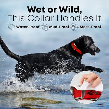 Regal Dog Products Large Red Dog Collar with Heavy Duty Double Buckle & D Ring | Vinyl Coated, Custom Fit, Adjustable Biothane Dog Collar | Chew Resistant Waterproof Center-Ring Collar for Dogs - color: Red, size: Large