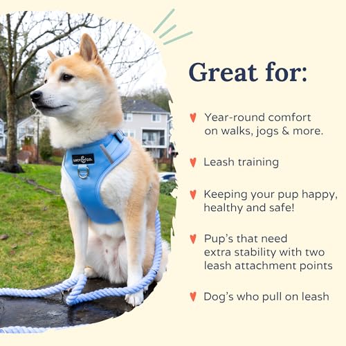 Lucy & Co. The Denim No-Pull Dog Harness - Size X-Large - Vest to Stop Pulling & Walk Easy - Comfortable Leash Training Product w/Adjustable Chest & Neck Straps - color: The Denim No-Pull Harness, size: X-Large