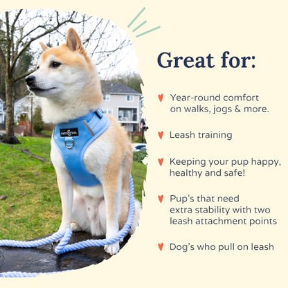 Lucy & Co. The Denim No-Pull Dog Harness - Size X-Large - Vest to Stop Pulling & Walk Easy - Comfortable Leash Training Product w/Adjustable Chest & Neck Straps - color: The Denim No-Pull Harness, size: X-Large