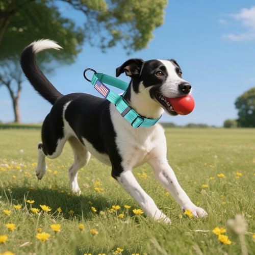 Martingale Dog Collar Quick Release Buckle No Pull Reflective Non-Slip for Medium Large Dogs Training (Teal, Large) - color: Teal, size: Large (Pack of 1)