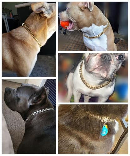 Heavy Duty Cuban Link Chain Dog Collars 15MM Gold/Silver Stainless Steel Metal Walking Training Collars with Cute Secure Design Buckle, Chew Proof, for Large Medium Small Dogs (Gold, 24'') - color: Gold, size: 24inches