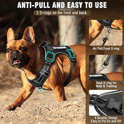 Tactical Dog Harness and Leash Set Medium Sized Dog,Heavy Duty No Pull Service Dog Vest and 10 Patches with Dog Seat Belt,Reflective Adjustable Pet Harness for Training Walking Hiking Black M - color: Black, size: Medium