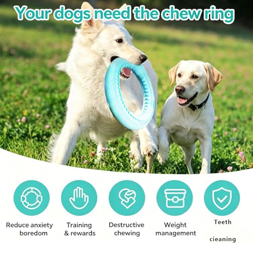 Dog Chew Ring Toy, Durable Rubber Teething Ring Aggressive Chewers, Non-Toxic Dental Cleaning Toy for Small & Medium Dogs, Interactive Fetch Tug Toy Mint Blue