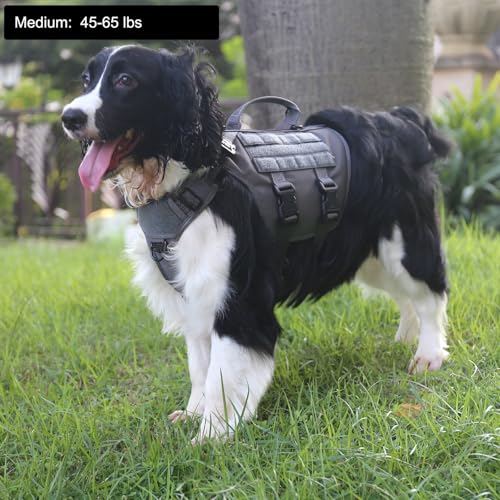 ICEFANG GN3 Tactical Dog Harness with 6X Buckle,Dog Molle Vest with Handle,3/4 Body Coverage,Hook and Loop Panel for ID Patch,No Pulling Front Clip (M (25"-31" Girth), Wolf Gray) - color: Wolf Gray, size: Medium (Pack of 1)