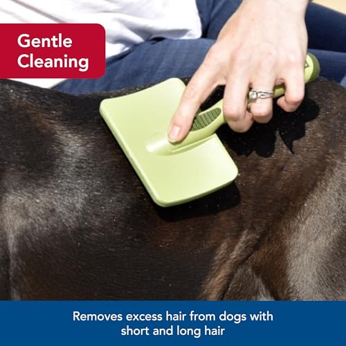 Coastal Pet Safari Dog Soft Slicker Brush - Dog Grooming Brush for Shedding - for Dogs with Short, Medium and Long Hair - Small - 6.5" x 2.5" - size: Small