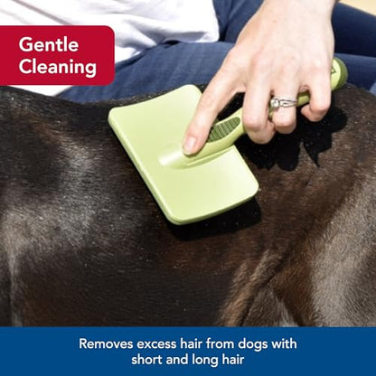 Coastal Pet Safari Dog Soft Slicker Brush - Dog Grooming Brush for Shedding - for Dogs with Short, Medium and Long Hair - Small - 6.5" x 2.5" - size: Small
