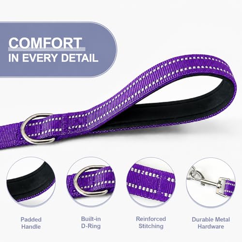Double Dog Leash for Two Dogs, Complete Set with 31.5" Main Leash + Adjustable Splitter, Padded Handle, D-Ring, 360° Swivel, Shock-Absorbing Bungee, Reflective for Small Medium Large Dogs (Purple) - color: Purple