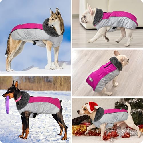 Petglad Dog Coat, Waterproof Ripstop Dog Winter Jacket with Leash Hole, Reflective Adjustable Warm Pet Fleece Snow Sweater for Small Medium Large Dogs - Rosy Red, M - color: Rosy Red, size: M
