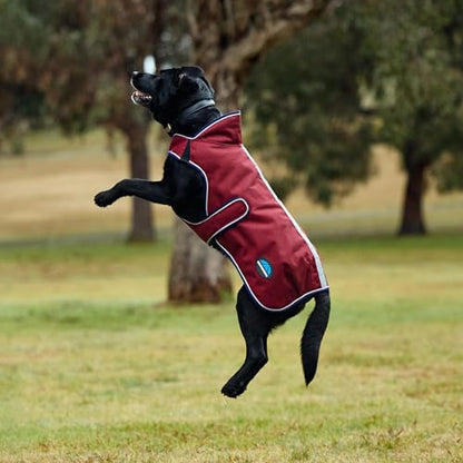 WeatherBeeta ComFiTec Premier Deluxe Waterproof Dog Coat, Burgundy/Navy, 30" - color: Burgundy/Navy, size: 30"