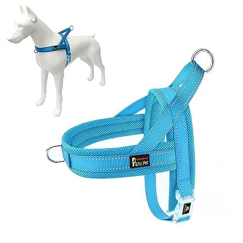 Plutus Pet No Pull Dog Harness with Breathable Mesh Padded, Adjustable Reflective Escape Proof Dog Harness, Quick Fit Dog Vest Harness for Small Medium Large Dogs(XXS, Cyan) - color: Cyan, size: XXS: chest 11.8"-15"