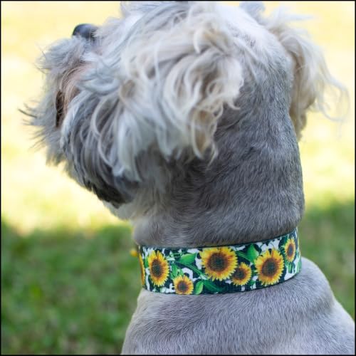 Country Brook Petz - HossFit Jr Wide Martingale Dog Collar - Country and Western Collection (Dairy Fields, Extra Large) - color: Dairy Fields, size: Extra Large (Pack of 1)