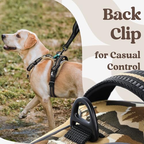 rabbitgoo Dog Harness Small Sized, No Pull Easy On & Off with 3 Buckles Pet Harness, Adjustable Soft Walking Vest with 2 Clips and Handle, Reflective for Small Dogs, Desert Ridge, S - color: Desert Ridge, size: Small