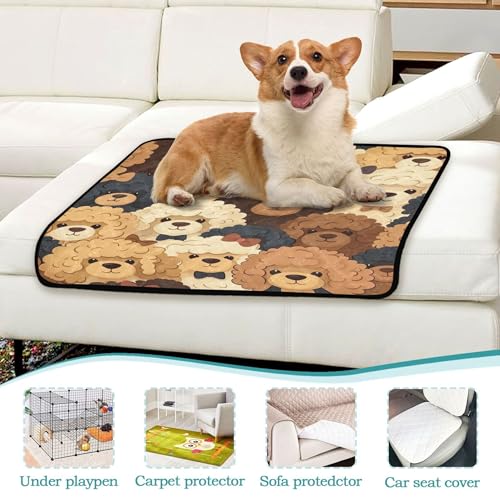 Qilmy Dog Pet Mat, Waterproof Reusable Dog Training Pad Anti-Slip Pet Creat Pad for Small Medium Large Dogs and Cats