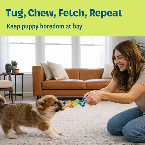 Bone Tugz Tug & Chew Dog Toy - Bendy, Textured Rubber for Tug-of-War, Light-Moderate Chewers, Teething Puppies & Small Dogs, 6.25" x 1.75" - color: Bonetugz Blue