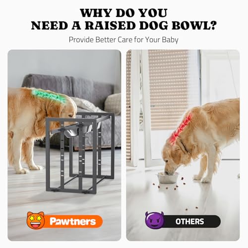 Elevated Dog Bowls for Medium Breed: 4 Height Adjustable Raised Dog Bowl Feeder Station with 2 Stainless Steel Bowls, Grey - color: Grey