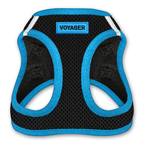 Best Pet Supplies - All Weather Mesh, Reflective, No Pull Harness for Small, Medium Dogs, Cats - Secure with Hook & Loop Fastener, Buckle, Double D-Rings - Blue Trim, XS - color: Harness (Blue Trim), size: XS (Chest: 13 - 14.5")
