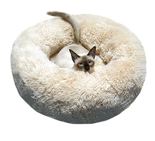 Modern Soft Plush Round Pet Bed for Cats or Small Dogs, Mini Medium Sized Dog Cat Bed Self Warming Autumn Winter Indoor Snooze Sleeping Cozy Kitty Teddy Kennel (24'' D x 8'' H, Champagne) - color: Champagne, size: Medium 24''