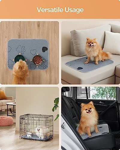 Feandrea Washable Dog Pee Pad, 2 Pack, Reusable, 24 x 18 Inches, S, Waterproof Pet Training, Leakproof, Non-Slip, Super Absorbent, Gray UPTD018G01 - size: S (24"L x 18"W)