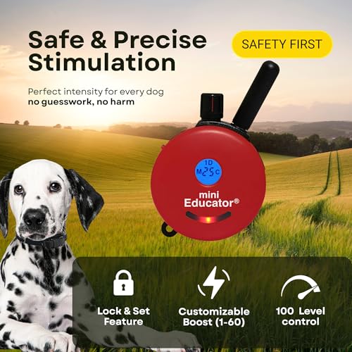 E-Collar ET-300 / ET-302 Dog Training Collar System with Remote - 1/2 Mile Range - Waterproof, Vibration, Sensation - Includes eOutletDeals Pet Towel (1 Dog System - ET-300 RED) - size: 1 Dog System - ET-300 RED