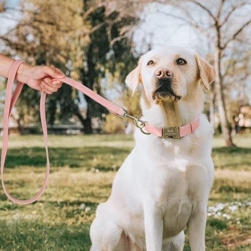 Personalized Dog Collars for Puppies, Custom Soft PU Leather Dog Collar with Engraved ID Name and Number, Adjustable & Durable Pet Collars with Quick Release Metal Buckle,XS(8-13") - color: Peony Pink-Engraving, size: X-Small: Fit 8-13" Neck