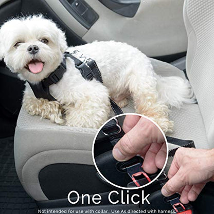 Duke & Dixie Dog Seat Belt Pet Dog Cat Car Seatbelt Safety - Adjustable Harness Safety Belts Pet Leash - Heavy Duty Nylon - Universal Fit (2 Pack Elastic Leash) (2 Pack Elastic seat BLT Leash)