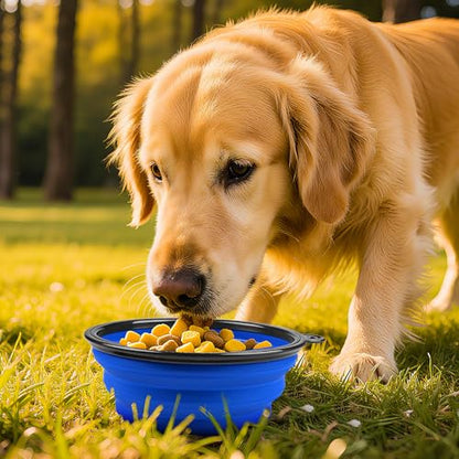 Foldable Dog Travel Bowls with Clasp for Traveling Hiking Walking Collapsible Dog Bowls Expandable Silicone Food Water Travel Bowl for Small Medium Dog Cat