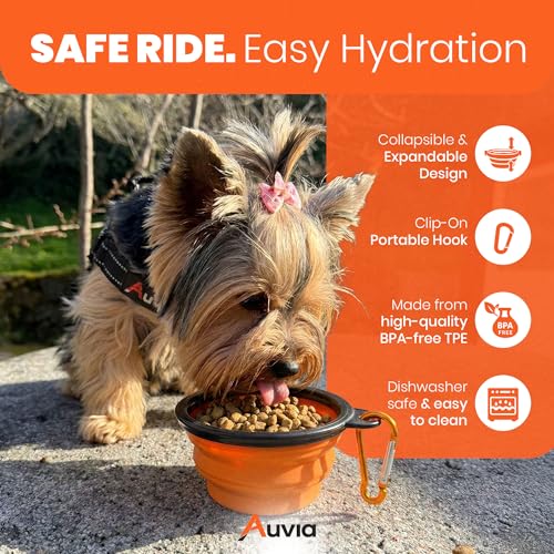 Dog Car Seat Belt for Vehicle Safety, Adjustable Dog Seat Belt Tether with Bungee Stretch, Seat Belt Clip & Headrest Loop, Includes Collapsible Travel Dog Bowl 350ml, Black/Orange