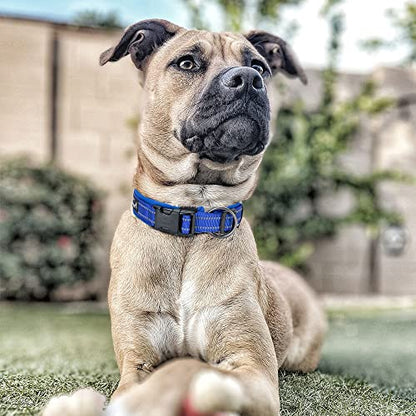 EXCELLENT ELITE SPANKER Reflective Dog Collar Classic Soft Padded Breathable Nylon Adjustable Pet Collar with Quick Release Buckle for Boy Girl Male Female Small Medium Large Dogs Training(LBLU-S) - color: Light Blue, size: S
