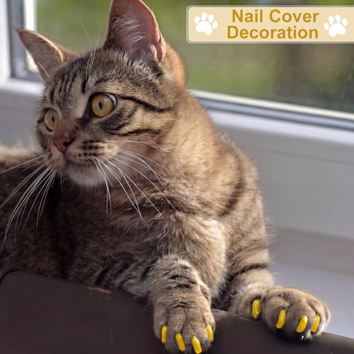 9 Pcs Cat Bathing Bag Set Cat Shower Bag Anti Bite and Scratch for Pet Grooming Washing Brush Comb Muzzle Nail Clipper Nail File Tick Tool (Yellow) - color: Yellow