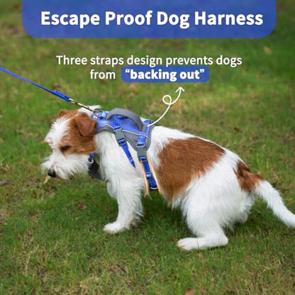 Huntboo Reflective Dog Harness with Handle, Escape Proof, No Slip, Breathable, Lightweight, Adjustable Lift Harness for Small, Medium, and Large Dogs Walking, Training, and Running Gear(Sea Blue,XS) - color: Sea Blue, size: X-Small(Pack of 1)