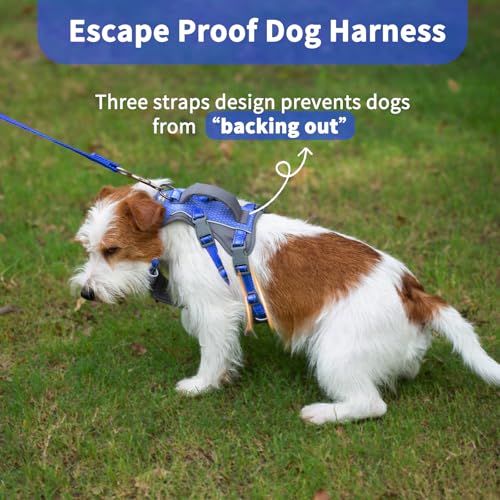 Huntboo Reflective Dog Harness with Handle, Escape Proof, No Slip, Breathable, Lightweight, Adjustable Lift Harness for Small, Medium, and Large Dogs Walking, Training, and Running Gear(Sea Blue,S) - color: Sea Blue, size: Small (Pack of 1)