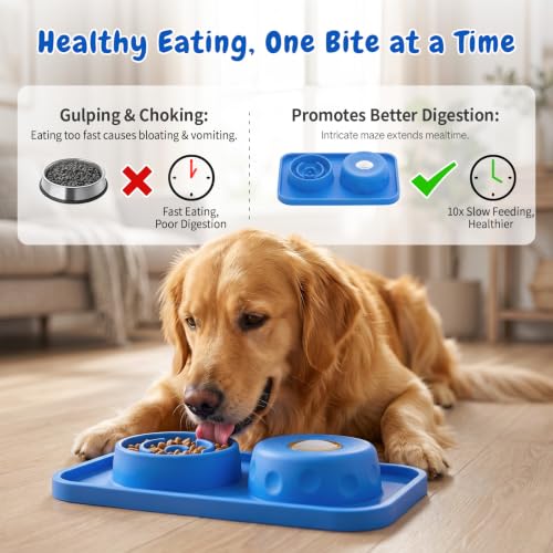 2-in-1 Dog Slow Feeder and Lick Ball Bowl, Interactive Puzzle Anti-Choking Pet Slow Eating Bowl with Treat Licking Rolling Ball, Spill-Proof Silicone Mat Feed Station for Dogs and Cats- Sky Blue