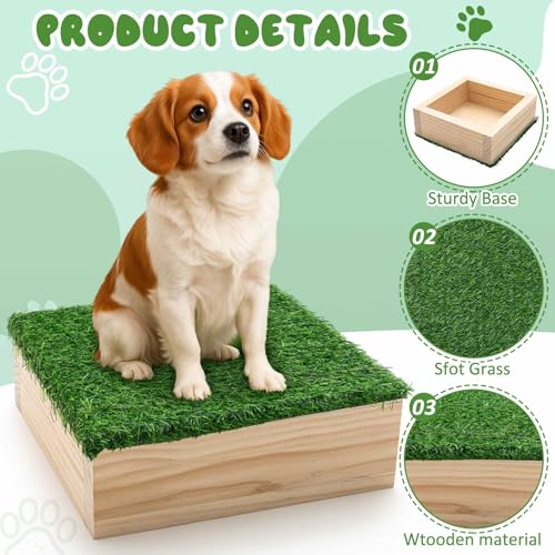 Dog Training Platform 11.81" Non Slip Pivot Box Place Board for Obedience, Hind Limb Awareness Practice Portable Place Board for Indoor Outdoor Use, Puppy to Medium Dogs Agility Training Equipment